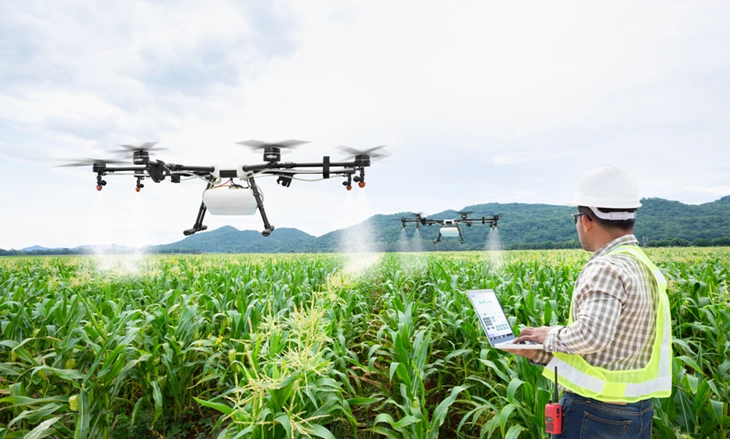 Drone bay trên cánh đồng lúa với màn hình hiển thị dữ liệu AI