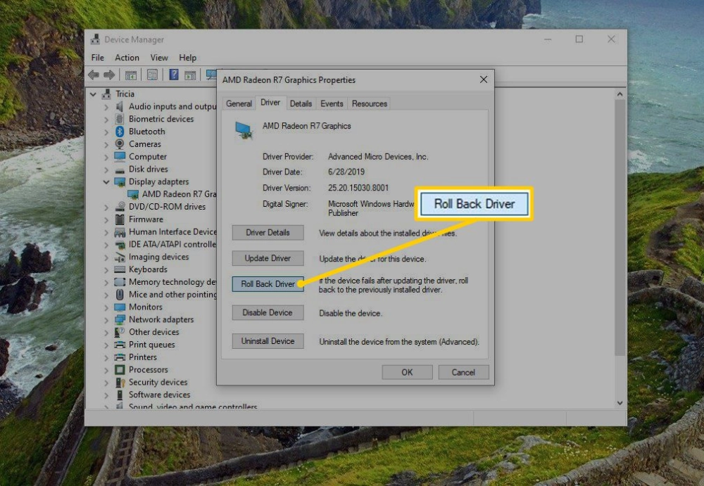 Kiểm tra Device Manager máy tính và quay lại driver cũ nếu có lỗi