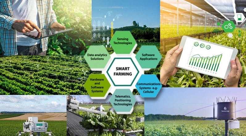 Khám phá những đột phá mới nhất trong ngành công nghệ nông nghiệp.