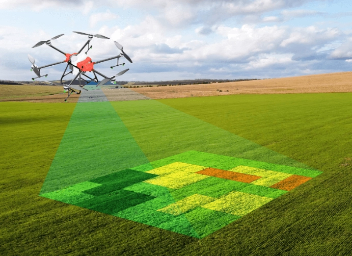 Drone phát hiện nhanh vùng cây trồng bất thường từ trên cao