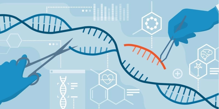 Công nghệ gen cho phép các nhà khoa học chỉnh sửa DNA.